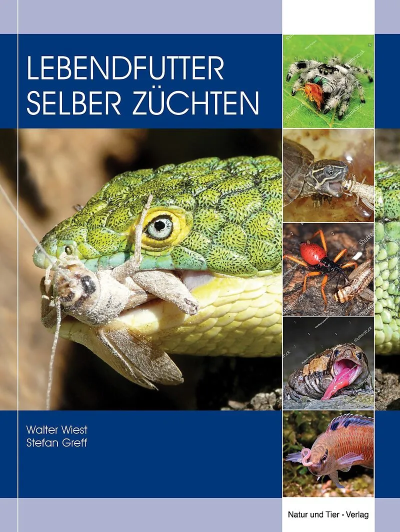 Buch Lebendfutter selber züchten 